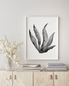 Blue Coral Set 2 (2) Black and White Wall Art Print