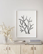 Blue Coral Set 2 (3) Black and White Wall Art Print