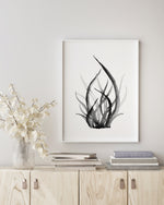 Blue Coral Set 2 (4) Black and White Wall Art Print