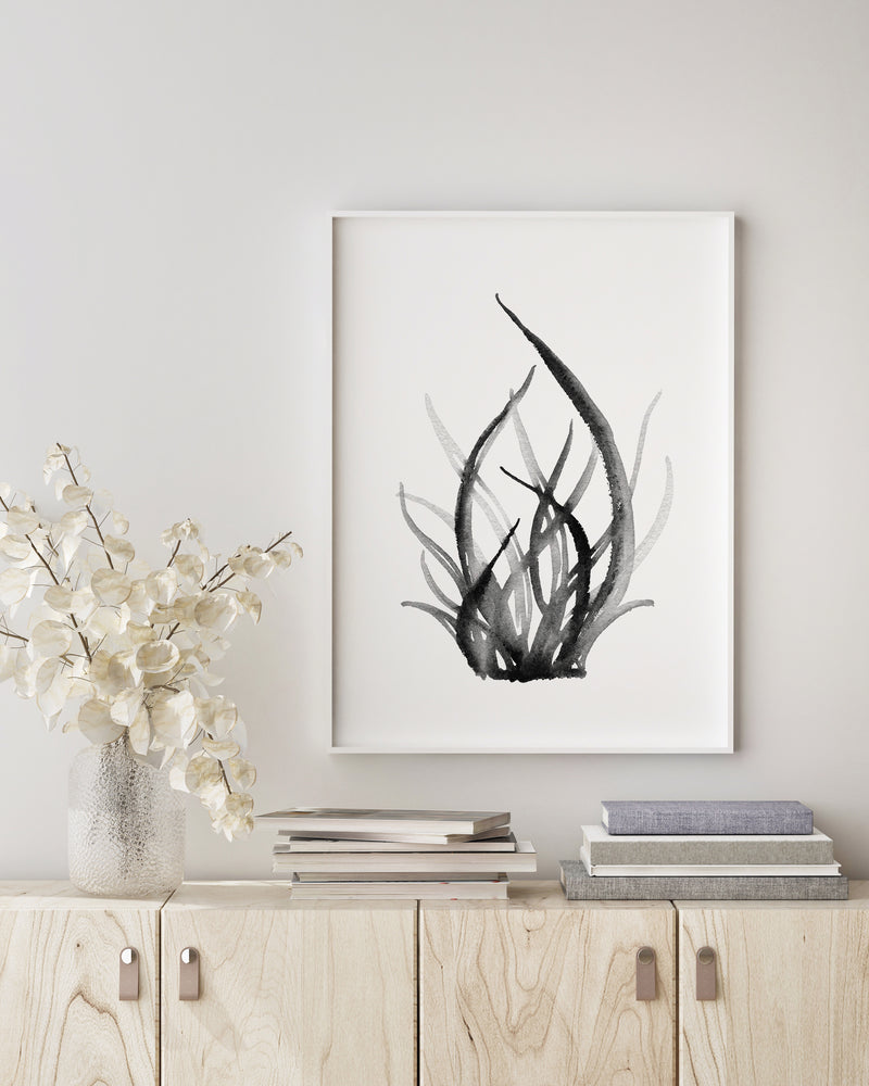 Blue Coral Set 2 (4) Black and White Wall Art Print