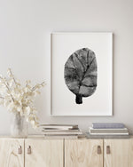 Grey Coral Set (1) Black and White Wall Art Print