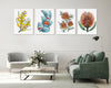 Australian Native Flower Wonders Set of 4 Watercolour Canvasses and Prints Collection