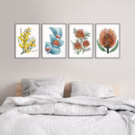 Australian Native Flower Wonders Set of 4 Watercolour Canvasses and Prints Collection