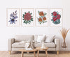 Floral Gems of Australia Collection of 4 Watercolour Canvasses and Prints Collection