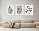 Set 3 Boronia + Hakea + Kangaroo Paw Black and White Wall Prints