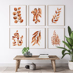 Set of 6 Original Australian Eucalyptus Brown Gum Leaf Artwork Canvasses and Prints