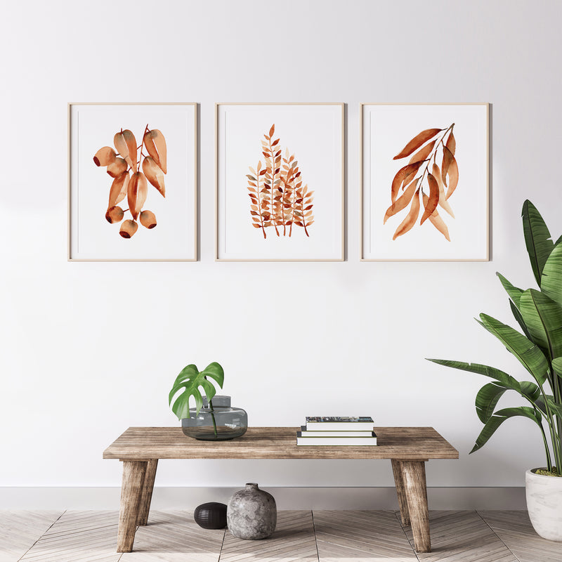 3 Set Brown Eucalyptus Gum Leaf Canvasses and Prints