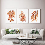 3 Set Brown Eucalyptus Gum Leaf Canvasses and Prints