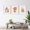 Brown Gum Leaf Set of 3 Eucalyptus Canvasses and Prints