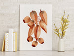 Brown Gum Leaf Set (2) Wall Art Print