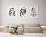 3 Set Black and White Wall Art Prints Gum Leaves