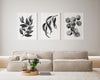 Set 3 Black and White Gum Leaves Wall Art Prints