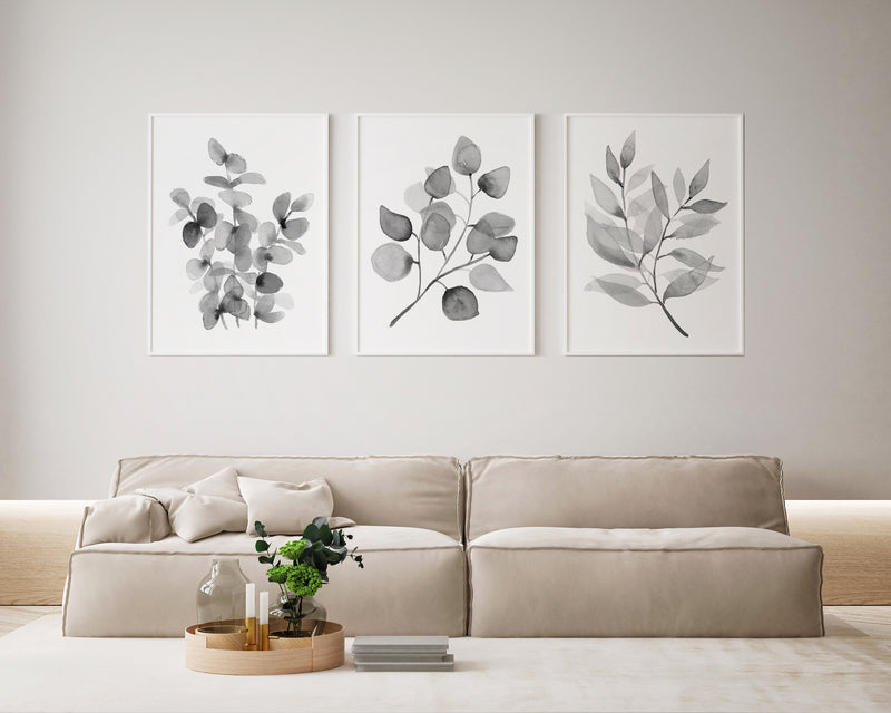 Eucalyptus Set of 3 Wall Art Prints