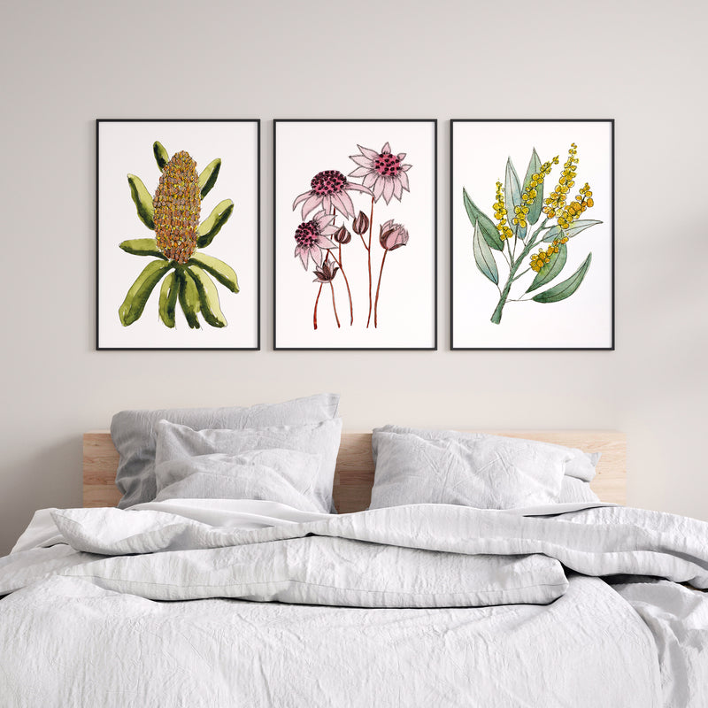 Set of 3 Captivating Watercolour Paintings of Australian Wildflowers Canvasses and Prints Collection