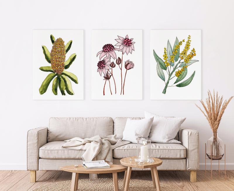 Set of 3 Captivating Watercolour Paintings of Australian Wildflowers Canvasses and Prints Collection