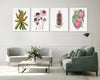 Set of 4 Australian Native Flower Coastal Beauty Watercolour Canvasses and Prints Collection