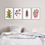 Set of 4 Australian Native Flower Coastal Beauty Watercolour Canvasses and Prints Collection