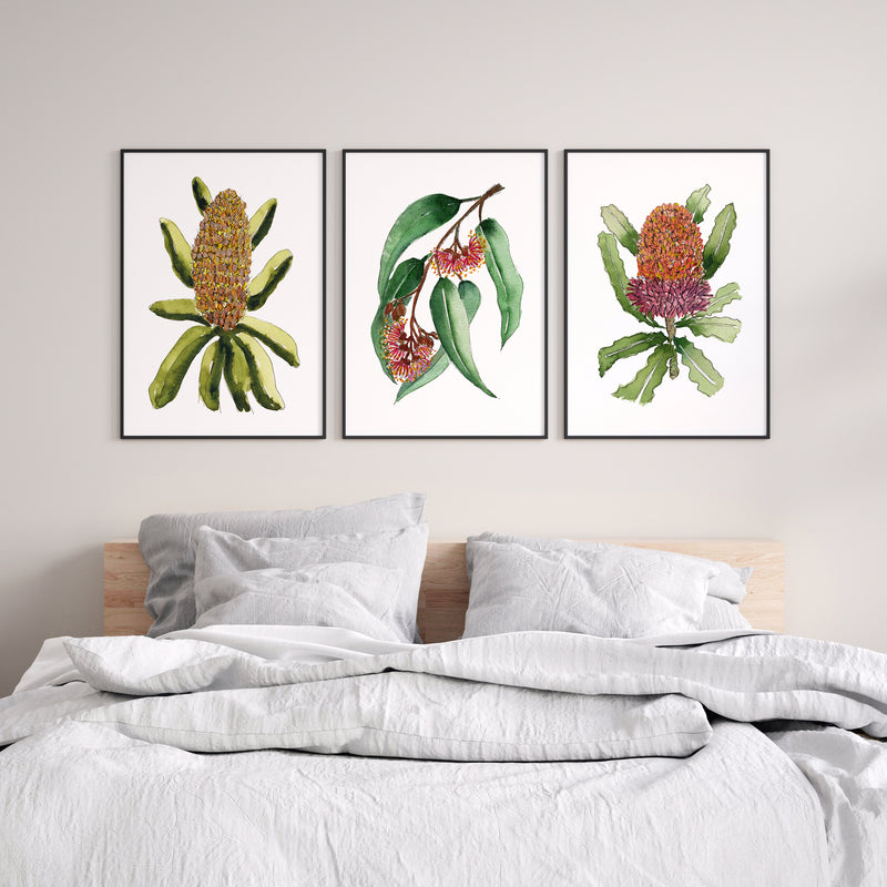 Set of 3 Floral Coastal Essence of Coastal Banksia, Silver Princess and Orange Banksia Canvasses and Prints Collection