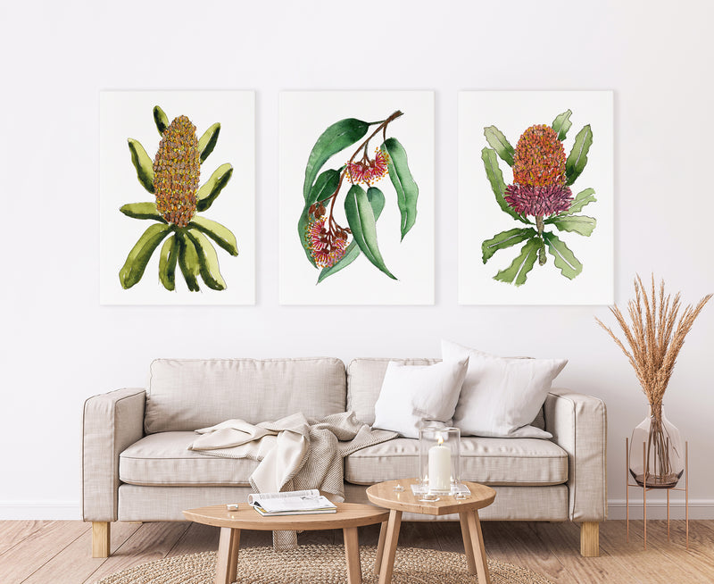 Set of 3 Floral Coastal Essence of Coastal Banksia, Silver Princess and Orange Banksia Canvasses and Prints Collection