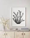 Coral Blue Set 2 (6) Black and White Wall Art Print