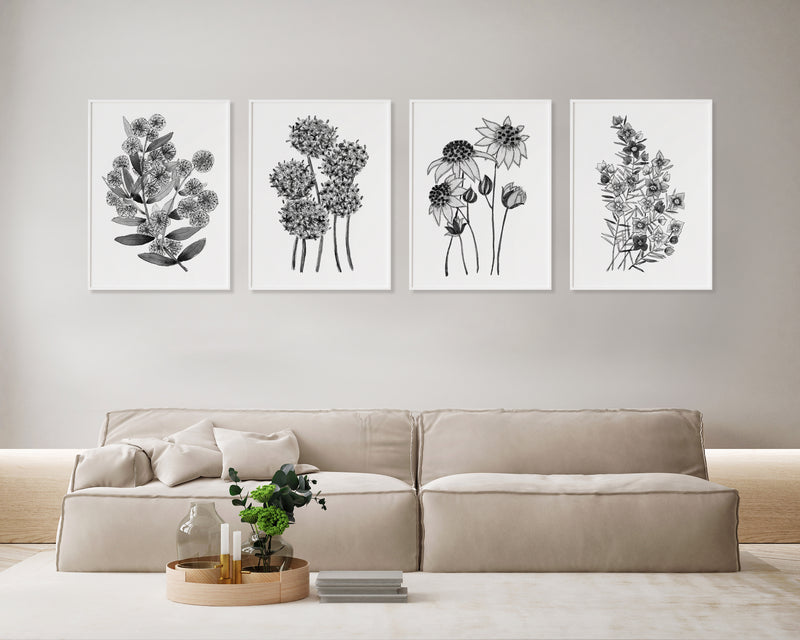 4 Set Harmony Series Monochrome Australian Native Floral Wall Art Prints