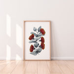 Rose Mallee Eucalyptus Wall Art Print