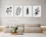 Minimalist Black White Set of 4 Australian Native Floral Wall Art Prints