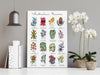 Australian Native Floral Chart First Set Wall Art Print and Canvas