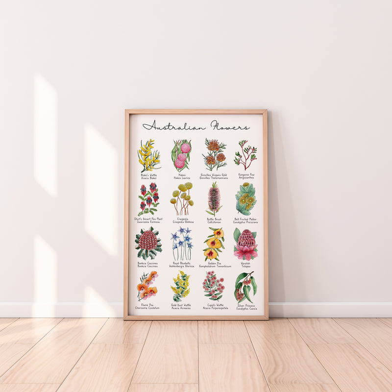 Australian Native Floral Chart Second Set Wall Art Print and Canvas