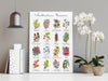 Australian Native Floral Chart Second Set Wall Art Print and Canvas