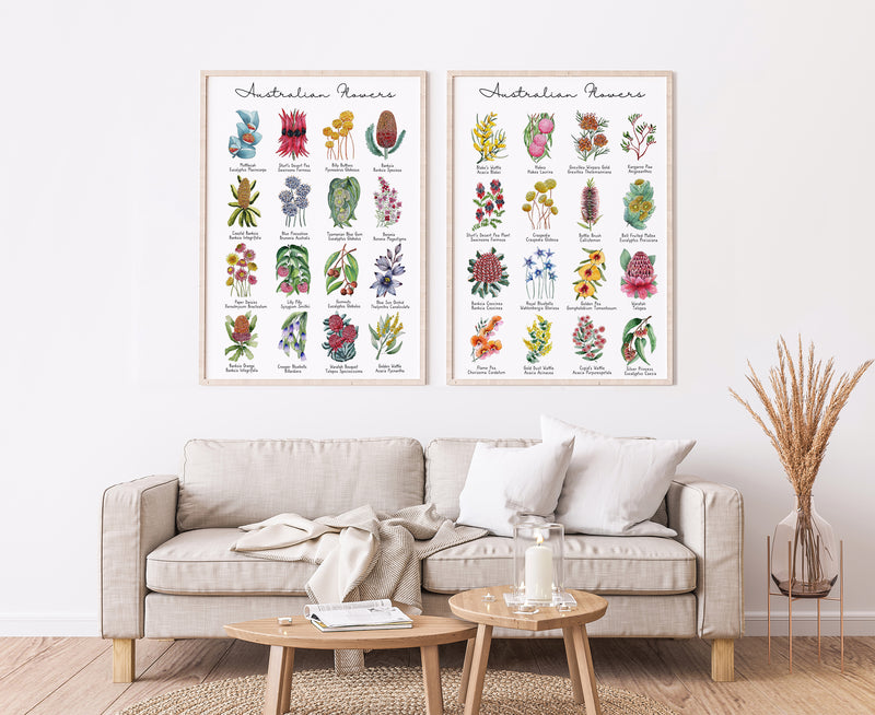 Set 2 Australian Native Floral Charts Wall Art Canvasses and Prints