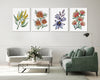 Serene Watercolour Canvasses and Prints Collection of Australian Native Flora - Set of 4