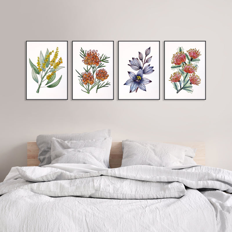 Serene Watercolour Canvasses and Prints Collection of Australian Native Flora - Set of 4