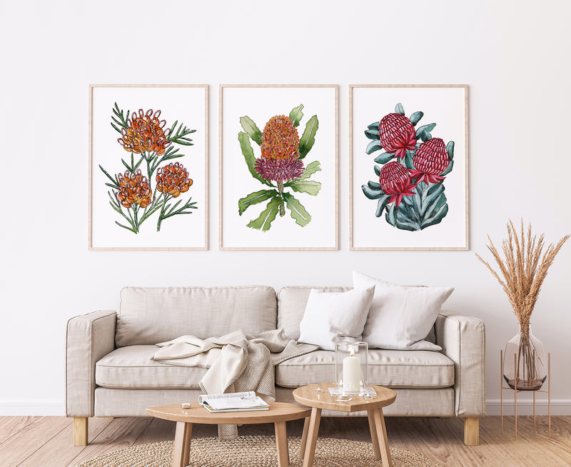 3 Set Artisanal Australian Flower Canvasses and Prints Collection Grevillea Winapara + Banksia Orange + Waratah Bouquet