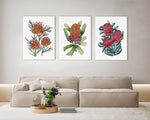 3 Set Artisanal Australian Flower Canvasses and Prints Collection Grevillea Winapara + Banksia Orange + Waratah Bouquet