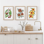 Set of 3 Yellow Golden Botanical Watercolour Canvasses and Prints Collection of Australian Native Florals