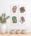 Set of 4 Australian Native Flower Vibrant Elegance Watercolour Canvasses and Prints Collection