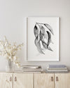 Blue Gum Eucalyptus Black and White Wall Art Print