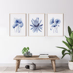 Homalomena + Banksia + Poppies Set of 3 Hamptons Wall Art Canvasses and Prints