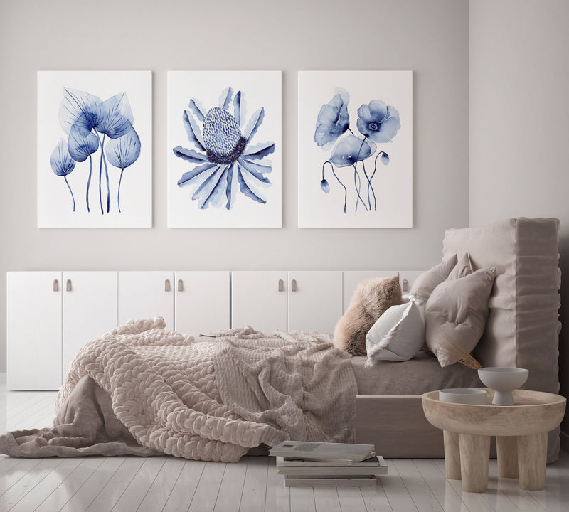 Homalomena + Banksia + Poppies Set of 3 Hamptons Wall Art Canvasses and Prints