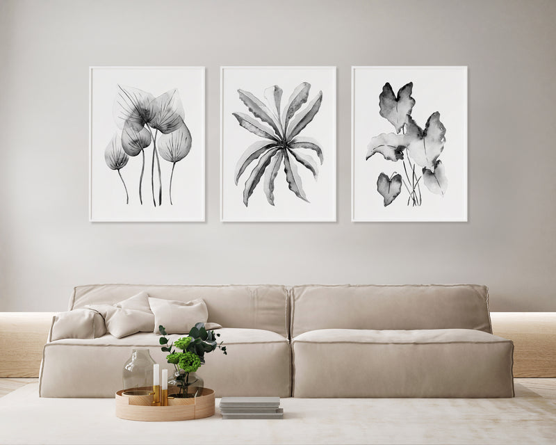 3 Set Black and White Wall Art Prints Homalomena + Birds Nest + Philodendron Hope