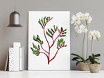 Kangaroo Paw Wall Art Print Canvas and Print