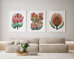 3 Set Exotic Watercolour Paintings of Australian Native Proteas Canvasses and Prints Collection