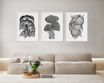 3 Set Contrast Black White Paintings Australian Floral Wall Art Prints