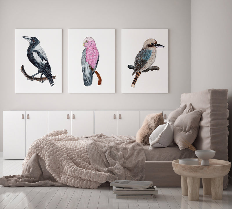 Australian Native Birds Watercolour Art Prints and Canvasses Collection Magpie, Galah, Kookaburra