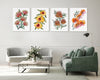 Set 4 Flora Fusion Striking Art Watercolour Canvasses and Prints Collection of Matchstick Banksia, Golden Pea, Grevillea, and Flame Pea