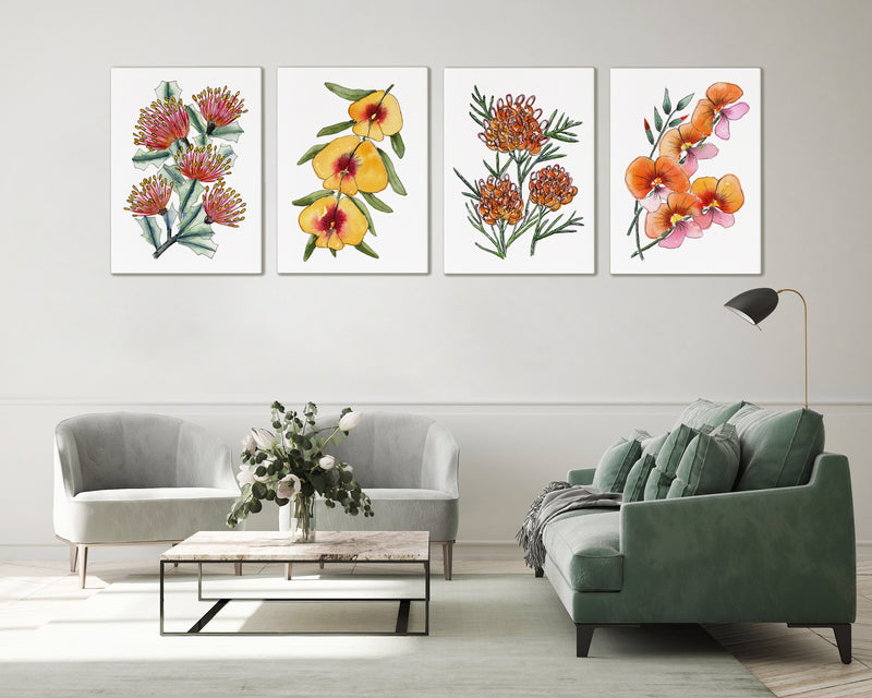 Set 4 Flora Fusion Striking Art Watercolour Canvasses and Prints Collection of Matchstick Banksia, Golden Pea, Grevillea, and Flame Pea