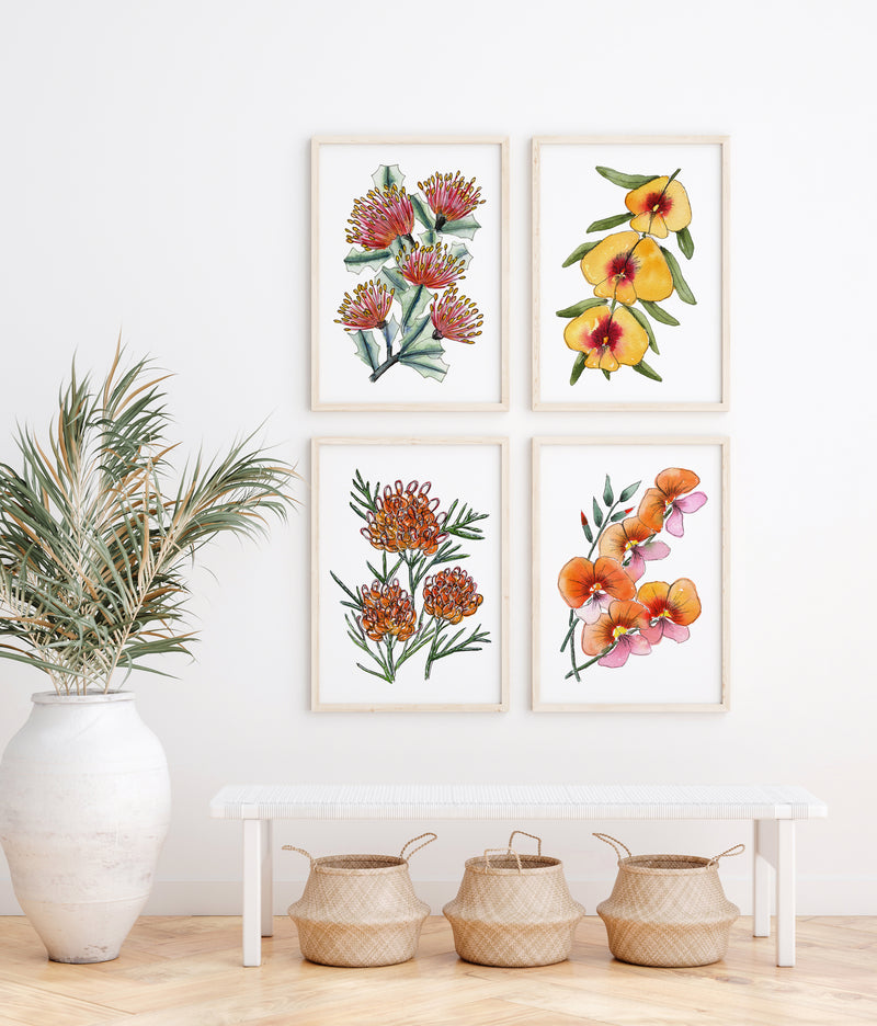 Set 4 Flora Fusion Striking Art Watercolour Canvasses and Prints Collection of Matchstick Banksia, Golden Pea, Grevillea, and Flame Pea