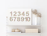 Australian Native Floral Number Chart 1 - 10 Wall Art Print and Canvas