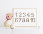 Australian Native Floral Number Chart 1 - 10 Wall Art Print and Canvas